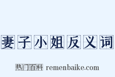 妻子小姐反义词是什么意思的图片